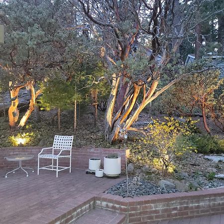 Casa De Los Arboles! Delight & Solitude Abound! Pine Cove Exterior photo