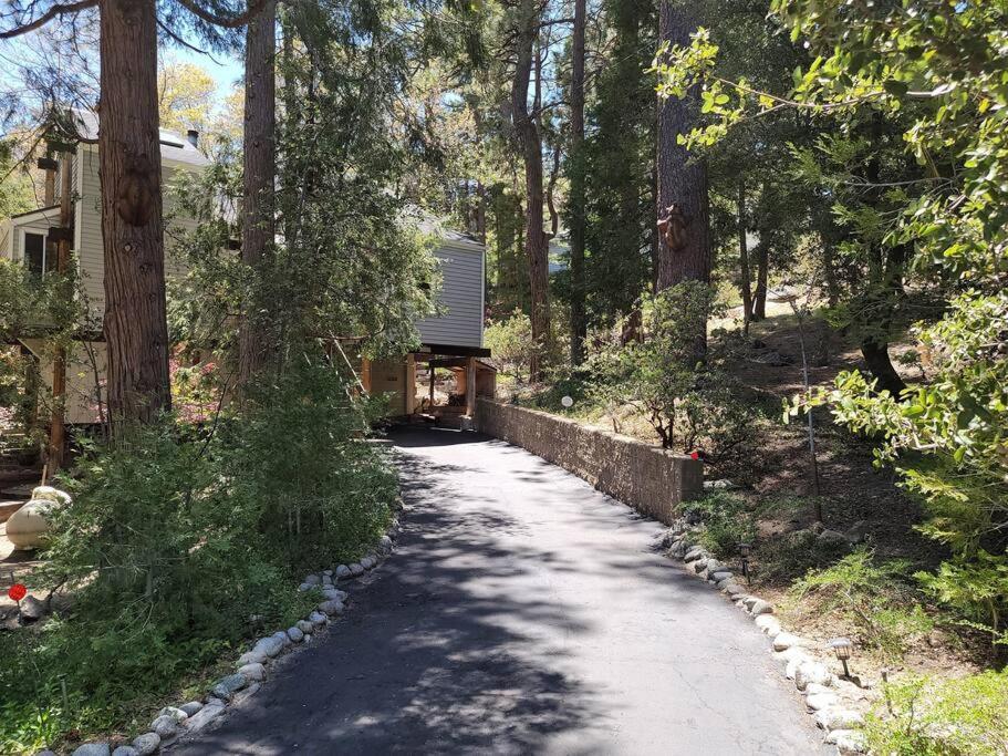 Casa De Los Arboles! Delight & Solitude Abound! Pine Cove Exterior photo